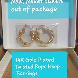 Pinsparkle 14K gold plated earrings
